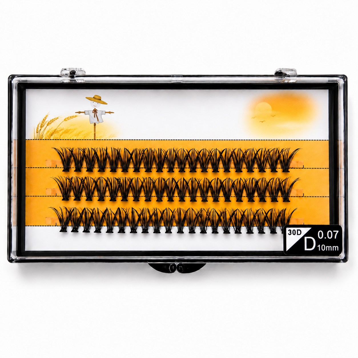 fan lashes 30d 10mm professional eyelashes